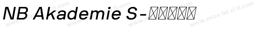 NB Akademie S字体转换